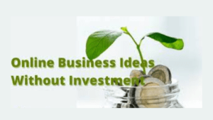 best business idea without investment